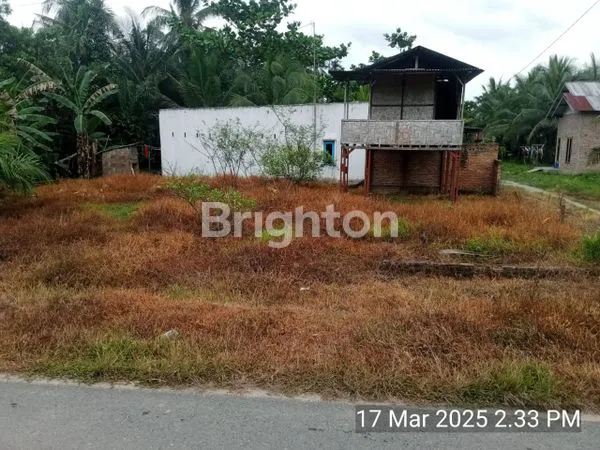 TANAH MURAH DI JUAL DAERAH LANGKAT