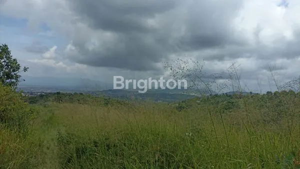 image DI JUAL TANAH.  LUAS 1 HA (3)