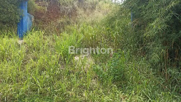 image DI JUAL TANAH.  LUAS 1 HA (4)