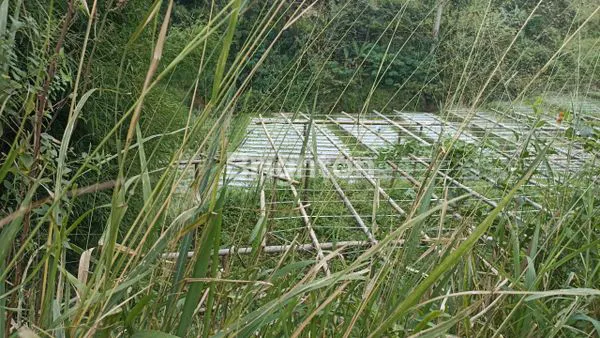 image DI JUAL TANAH.  LUAS 1 HA (1)