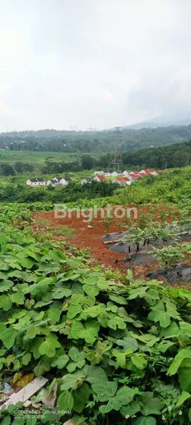 image RUMAH MINIMALIS MODERN, SUASANA PEGUNUNGAN ASRI DI UNGARAN BARAT (6)