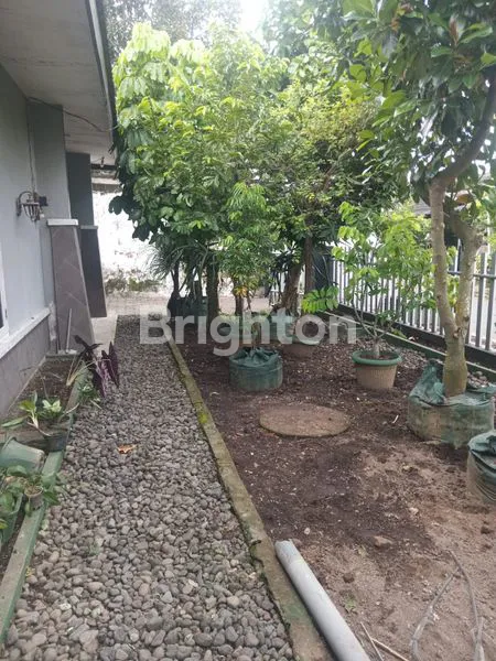 image RUMAH PUSAT KOTA JEMBER (7)