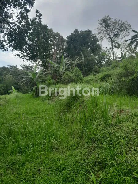 image TANAH KEBUN DATAR DIBAWAH NJOP COCOK BUAT RUMAH KOST DEKAT DENGAN KAMPUS IPB DRAMAGA DI SITU GEDE DRAMAGA BOGOR (2)