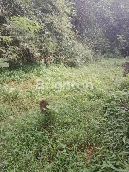 image TANAH KEBUN DATAR DIBAWAH NJOP COCOK BUAT RUMAH KOST DEKAT DENGAN KAMPUS IPB DRAMAGA DI SITU GEDE DRAMAGA BOGOR (3)