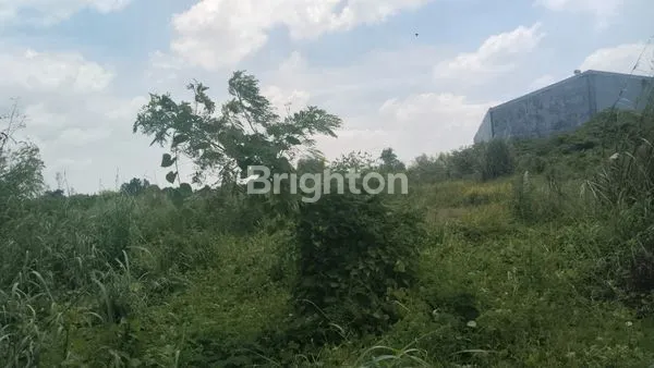 image JUAL. TANAH DAN GUDANG (2)