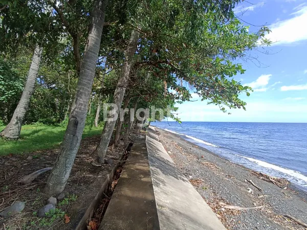 TANAH 87 ARE PINGGIR PANTAI DI TEJAKULA BULELENG