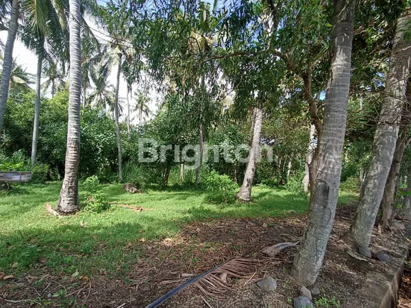 image TANAH 87 ARE PINGGIR PANTAI DI TEJAKULA BULELENG (6)
