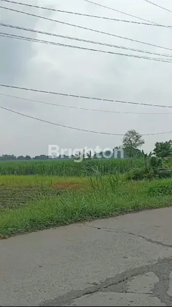 image TANAH STRATEGIS JALAN PROVINSI, DESA MOJOLEBAK-MOJOKERTO (3)