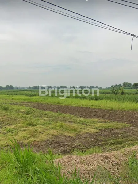 image TANAH STRATEGIS JALAN PROVINSI, DESA MOJOLEBAK-MOJOKERTO (4)