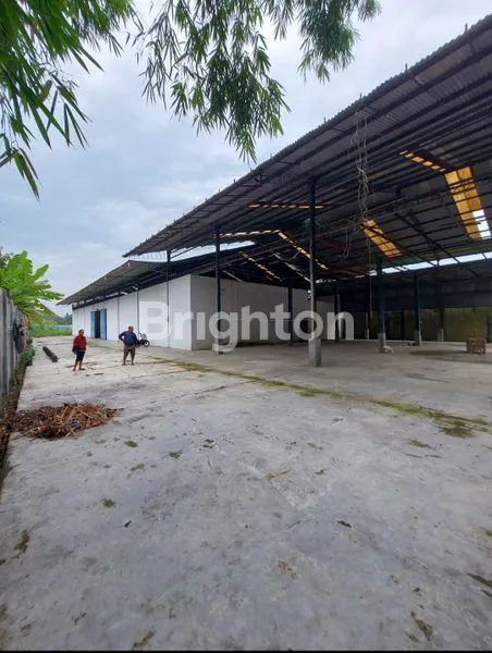 image GUDANG+ TANAH KOSONG (7)