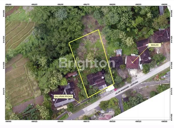 RUMAH DENGAN KEBUN LUAS DI JALAN PROVINSI