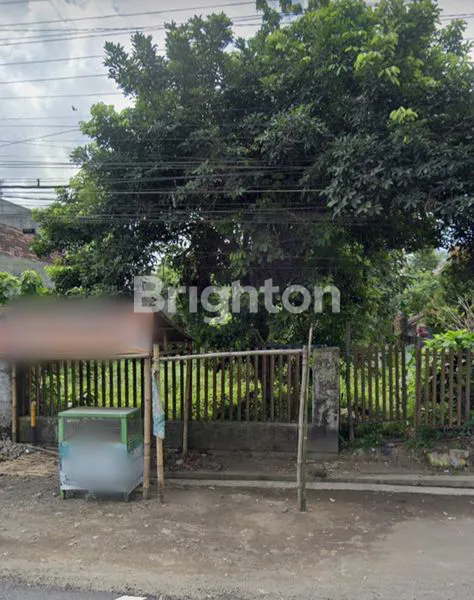 image TANAH DIJUAL DI JEMBER LOKASI STRATEGIS, JALAN PROVINSI (1)