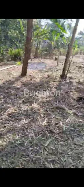 image DI JUAL TANAH, SANGAT MURAH (1)