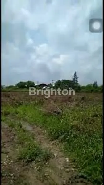 Gambar Property TANAH MURAH LOKASI STRATEGIS DI TUBAN JAWA TIMUR