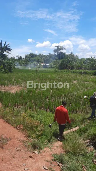 image TANAH PARUNG PANJANG (2)