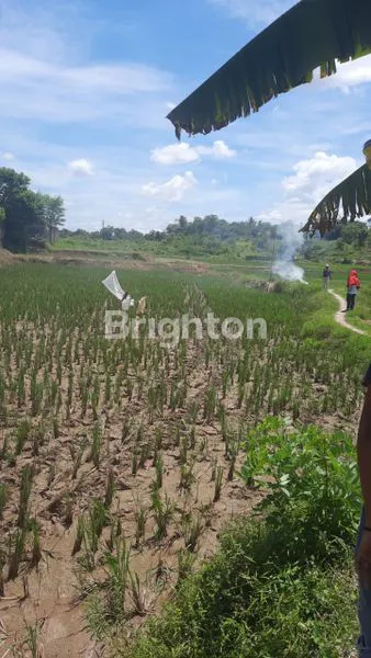 image TANAH PARUNG PANJANG (1)