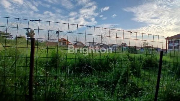 image TANAH DISEWAKAN (3)