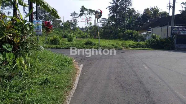 image TANAH LUAS DI TENGAH LINGKUNGAN EKSKLUSIF (2)