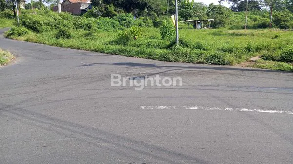 image TANAH LUAS DI TENGAH LINGKUNGAN EKSKLUSIF (3)