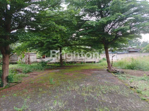 image TANAH KAVLING CUT NYAK DIEN, SUKAJADI (3)