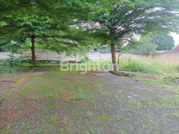 image TANAH KAVLING CUT NYAK DIEN, SUKAJADI (7)