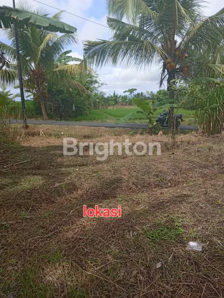 image TANAH STRATEGIS PINGGIR JALAN UTAMA DI TABANAN BALI  (4)