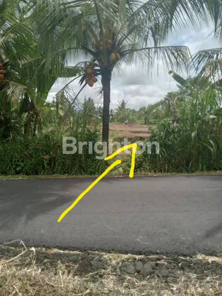 image TANAH STRATEGIS PINGGIR JALAN UTAMA DI TABANAN BALI  (2)
