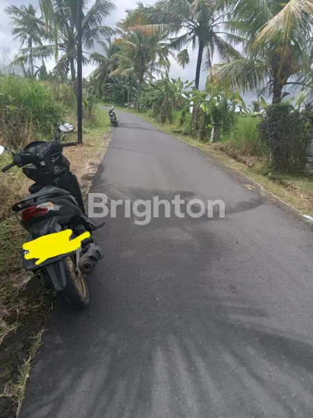image TANAH STRATEGIS PINGGIR JALAN UTAMA DI TABANAN BALI  (1)