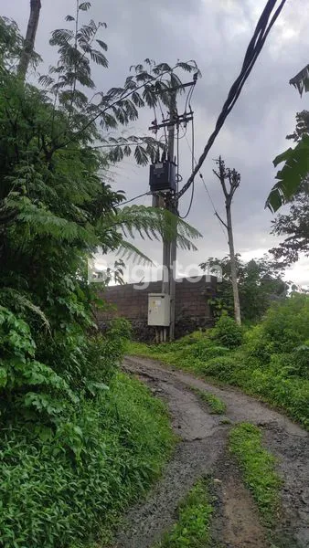 image TANAH KOPI 8.000M² DI GITGIT, VIEW BUKIT BALI (2)