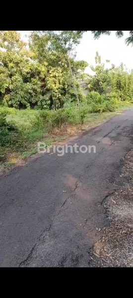 image DIJUAL TANAH JENU TUBAN (2)