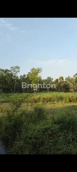 image DIJUAL TANAH JENU TUBAN (3)