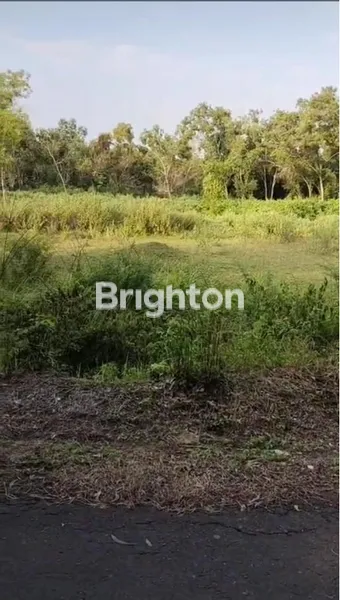 image DIJUAL TANAH JENU TUBAN (1)