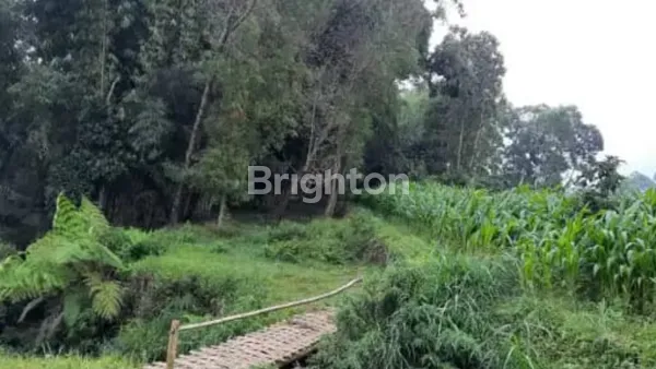 image TANAH DI PUJON KIDUL MALANG  (3)