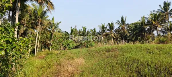 image  LAHAN PREMIUM DI UBUD, BALI (1)
