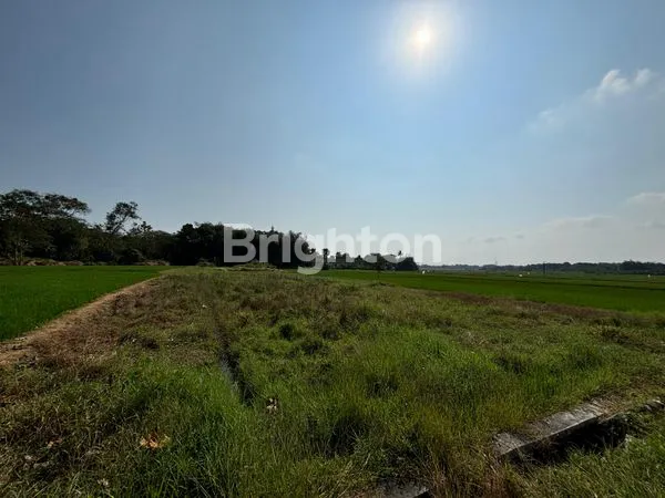 image DIJUAL SAWAH DAERAH BOYOLALI JALAN SUDAH COR (3)