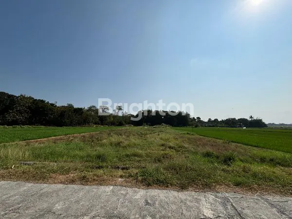 image DIJUAL SAWAH DAERAH BOYOLALI JALAN SUDAH COR (2)