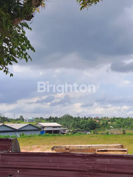 image TANAH STRATEGIS POROS JALAN BESAR DI KARIANGAU  (1)