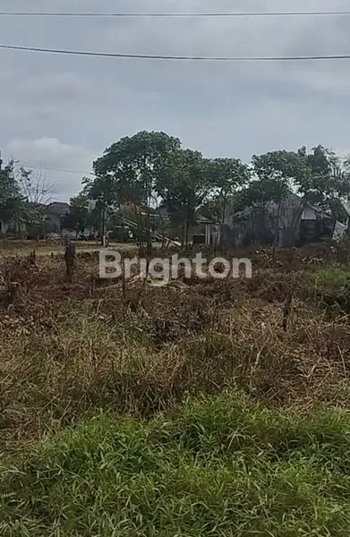 image TANAH KOMERSIAL KAWASAN BERKEMBANG JALAN PEMDA POROS PROPINSI (3)