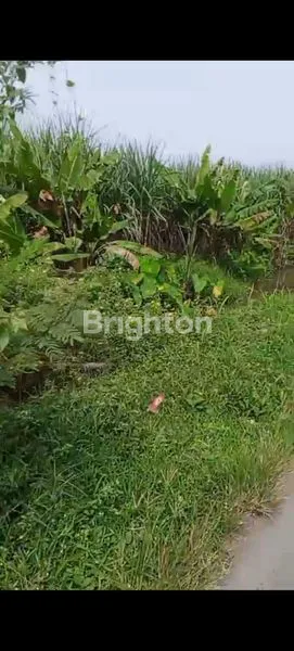 TANAH STRATEGIS, ZONA INDUSTRI, NOL JALAN ASPAL, GUDO, JOMBANG