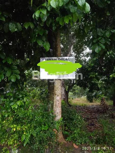 Gambar Property TANAH DIJUAL DAERAH KALISUREN, BOJONGGEDE, JL. BOJONGGEDE KEMANG.