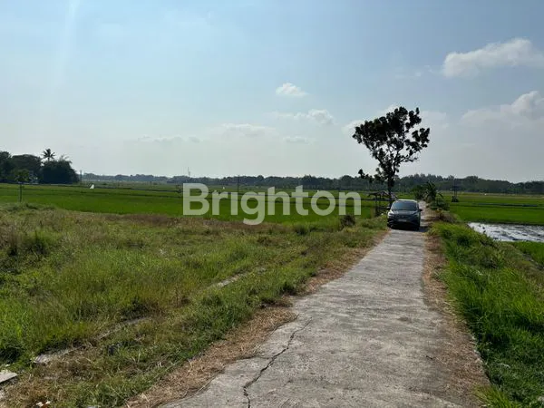 image TANAH SAWAH DAERAH BOYOLALI (2)