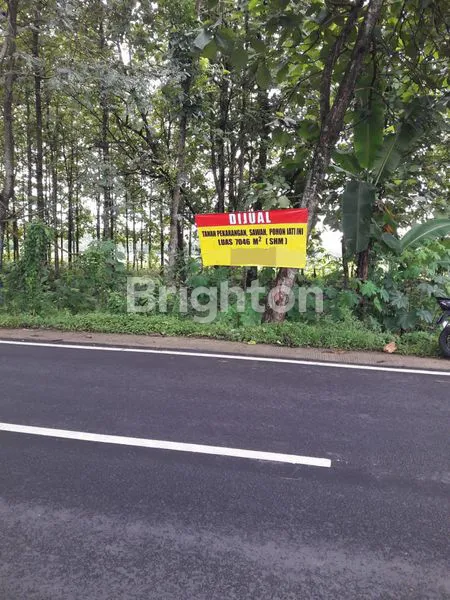 image TANAH MURAH DI NGAWI PINGGIR JL PROVINSI (2)