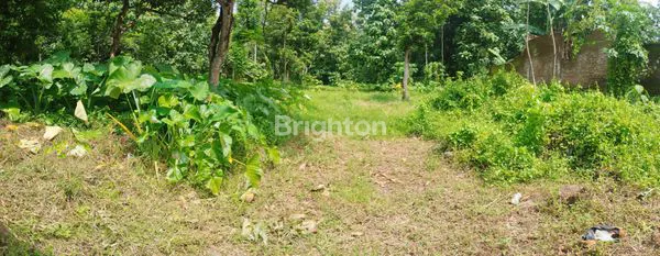 LAHAN LUAS COCOK UNTUK PERUKOAN