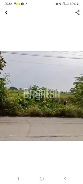 image DI JUAL TANAH RAYA RADEGAN SARI DRIYOREJO (2)