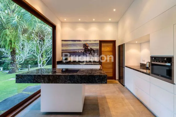 image LOOKING FOR SPECIAL BUYER FOR A VERY SPECIAL VILLA IN TABANAN (8)