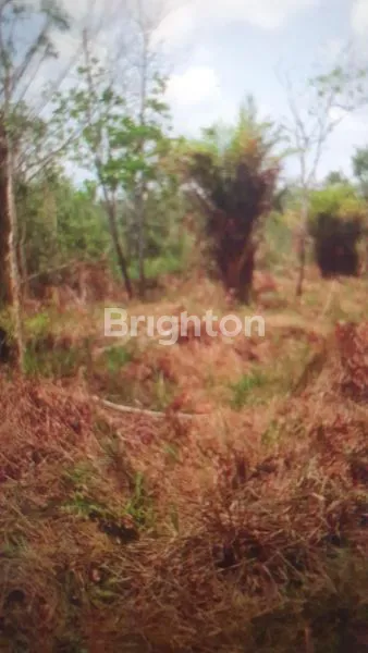 image SUMATERA SELATAN BANYUASIN  TANAH, DIJUAL,  DI TALANG KERAMAT (1)