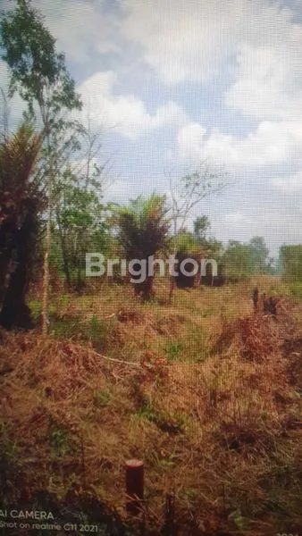 image SUMATERA SELATAN BANYUASIN  TANAH, DIJUAL,  DI TALANG KERAMAT (2)