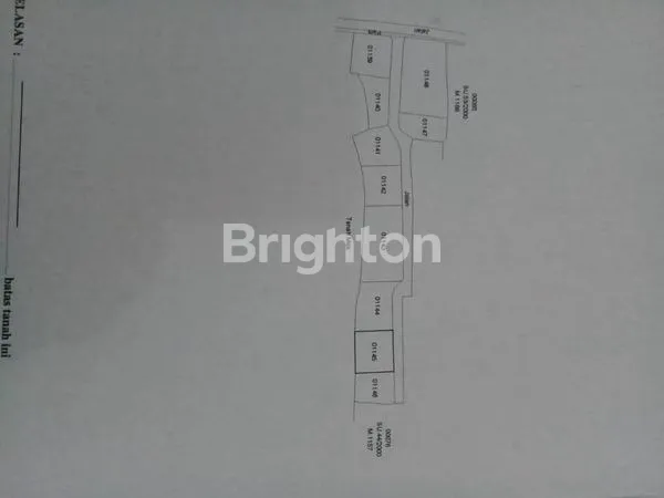 image TANAH MURAH DI BLAHBATUH GIANYAR (8)