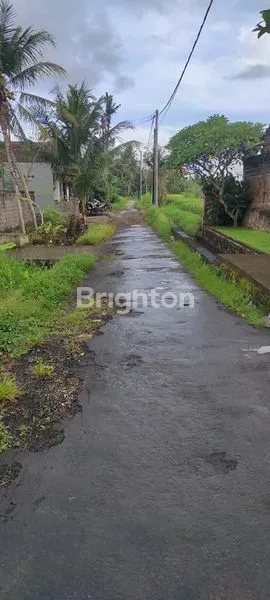 image TANAH MURAH DI BLAHBATUH GIANYAR (5)