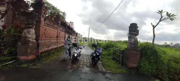 image TANAH MURAH DI BLAHBATUH GIANYAR (4)
